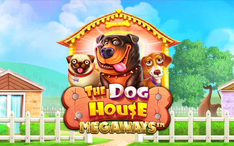 The Dog House Megaways is available to play at 1win.